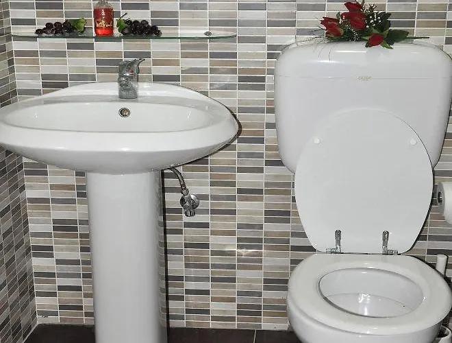 Friend House 招待所